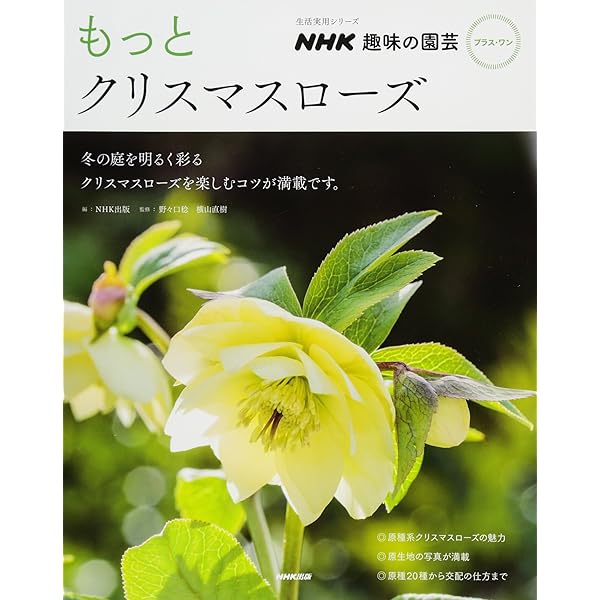 原種系クリスマスローズ (NHK趣味の園芸 よくわかる栽培12か月